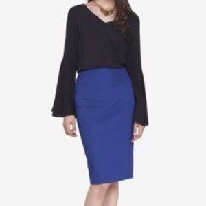 Blue Express Skirt